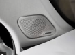 Choosing the Optimal Processing Method for Car Horn Mesh